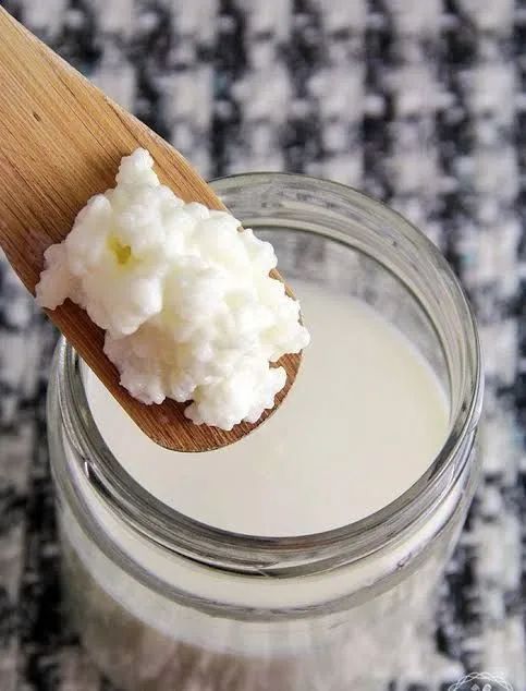 Doação - Kefir de LEITE - SÓ OUTUBRO AGORA