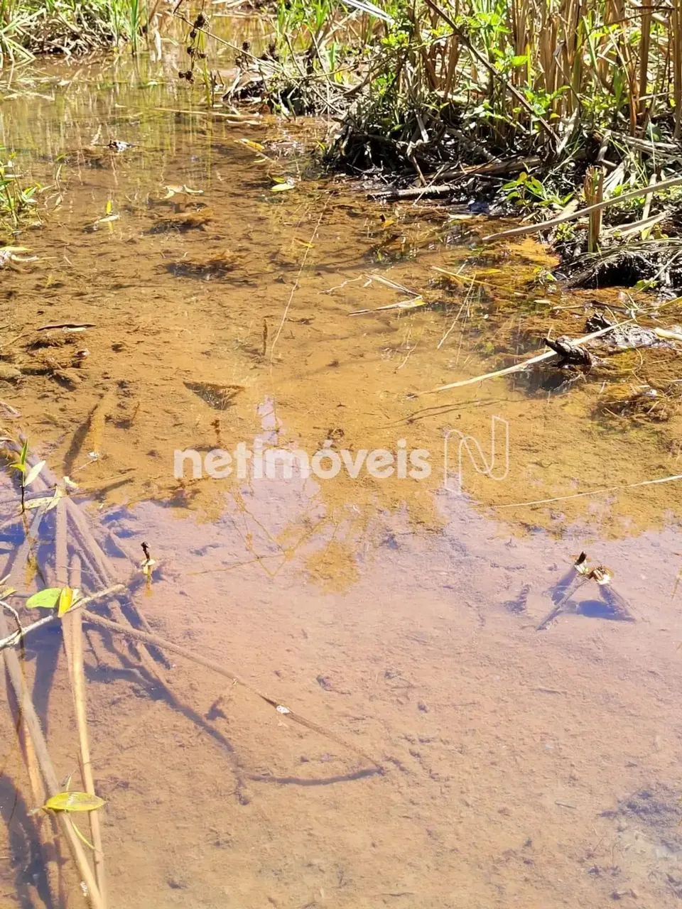 Lindo Sítio em Desterro de Entre Rios com 6,5 Hectares - Foto 5