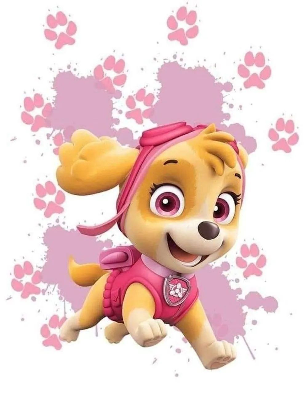 Convite Skye Patrulha Canina/vídeo 