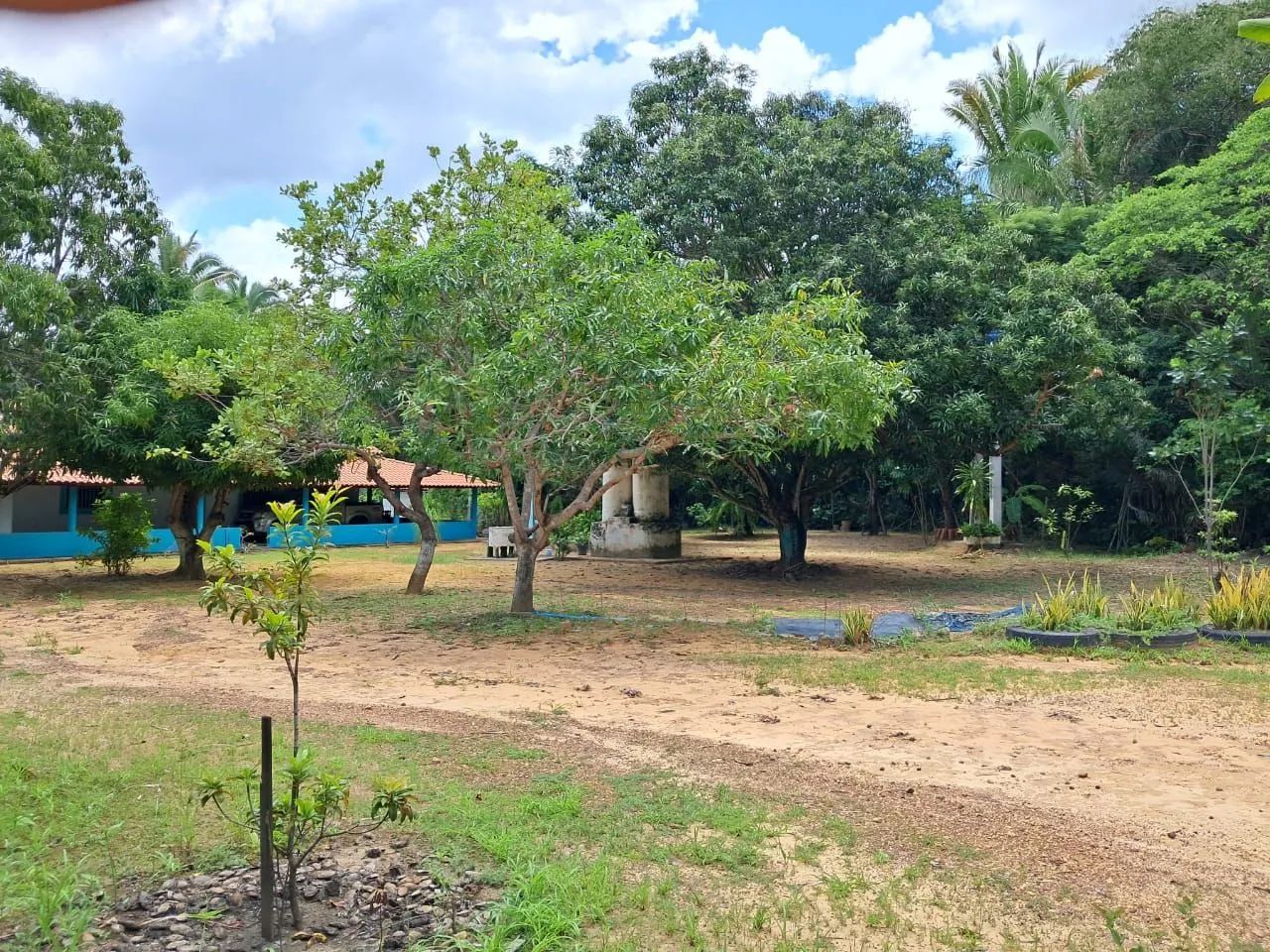 Baixou! Oportunidade! Sítio com riacho natural, casa nova, piscina e pomar - Foto 2