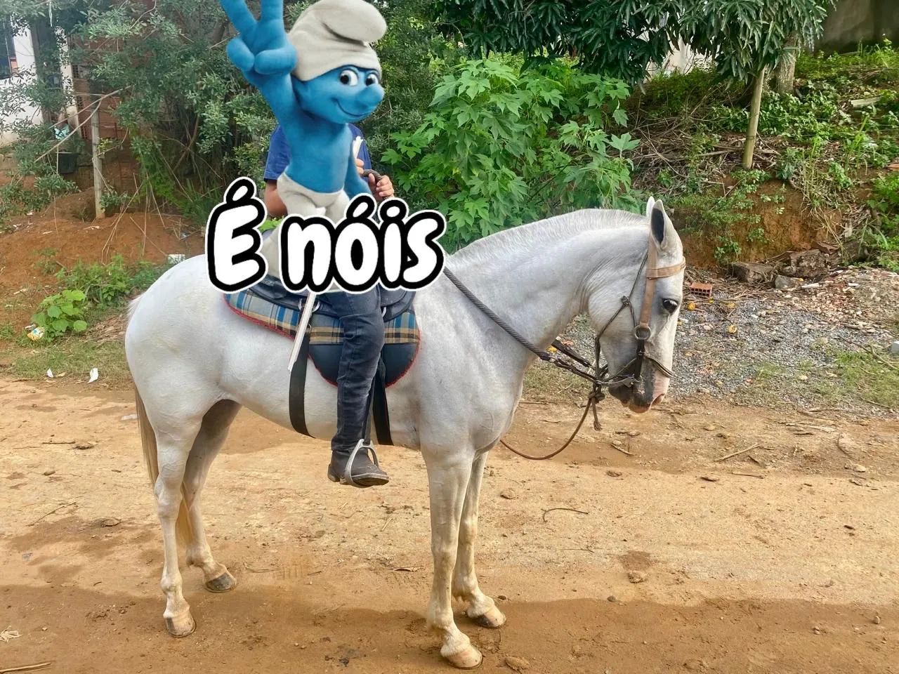 Égua porte médio picado  - Foto 6