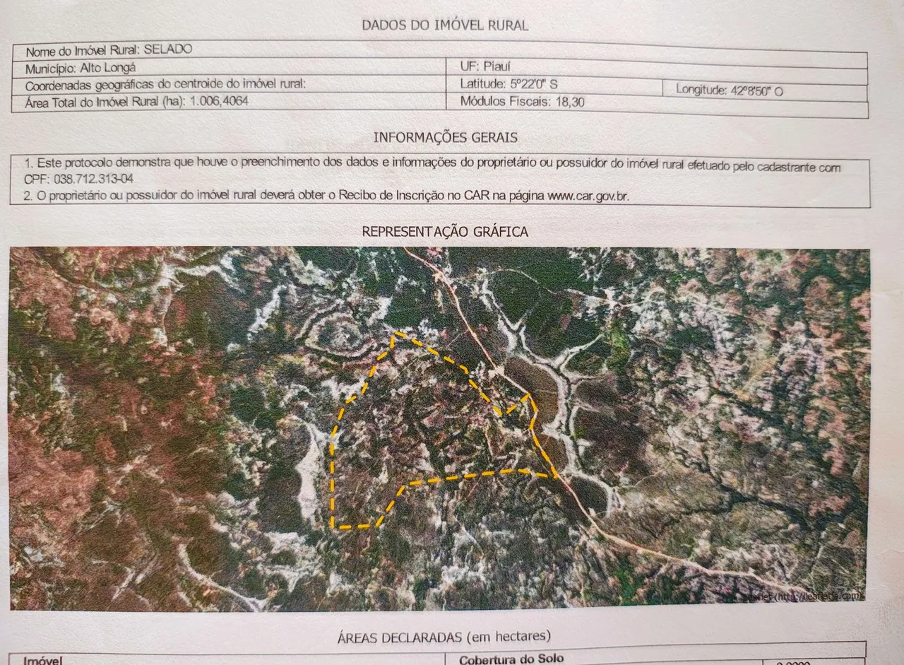 Fazenda SELADO 1.006 hectares em Alto Longá - PI