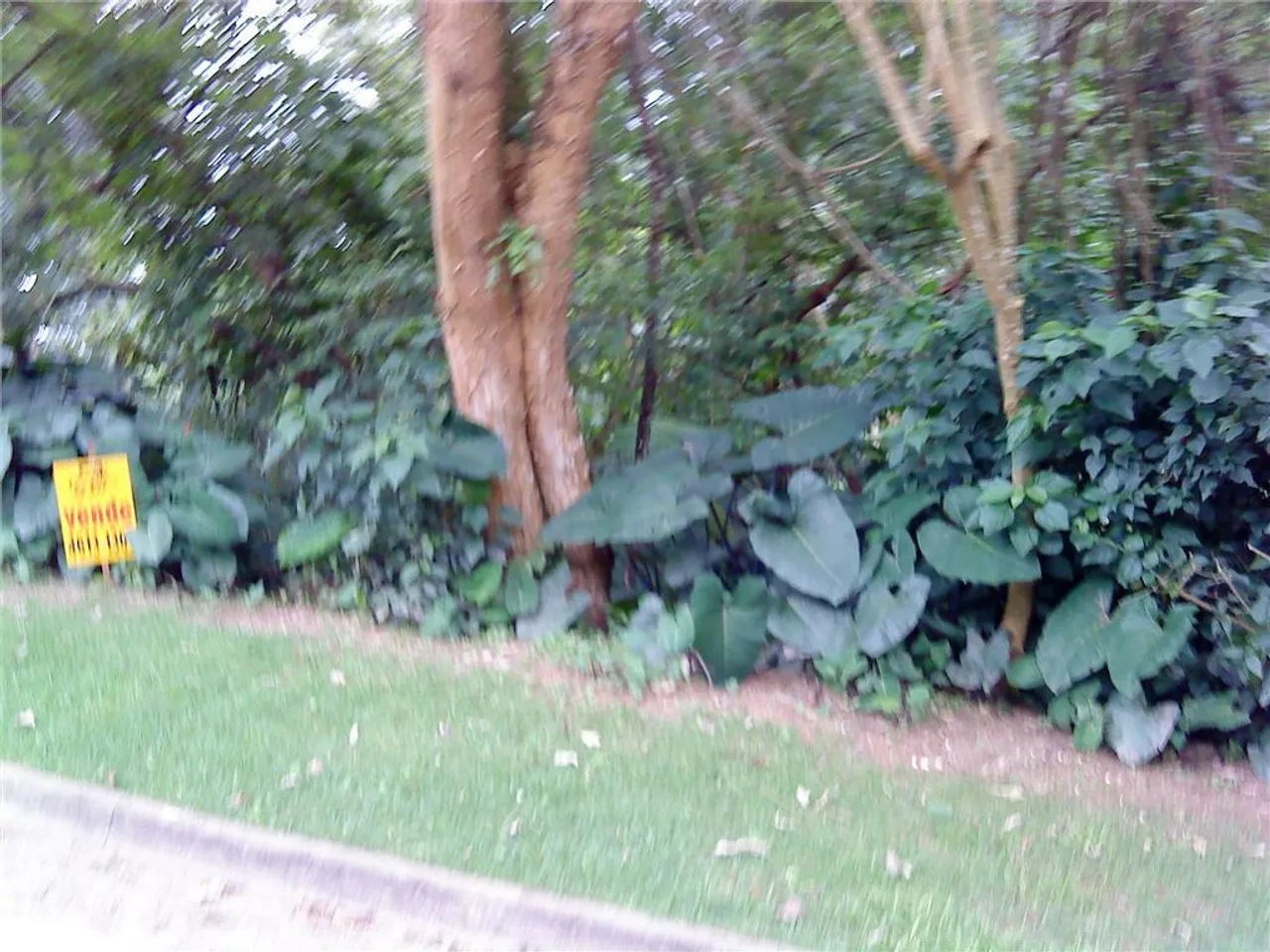 Granja Viana, Vila dos Pinus, Cotia