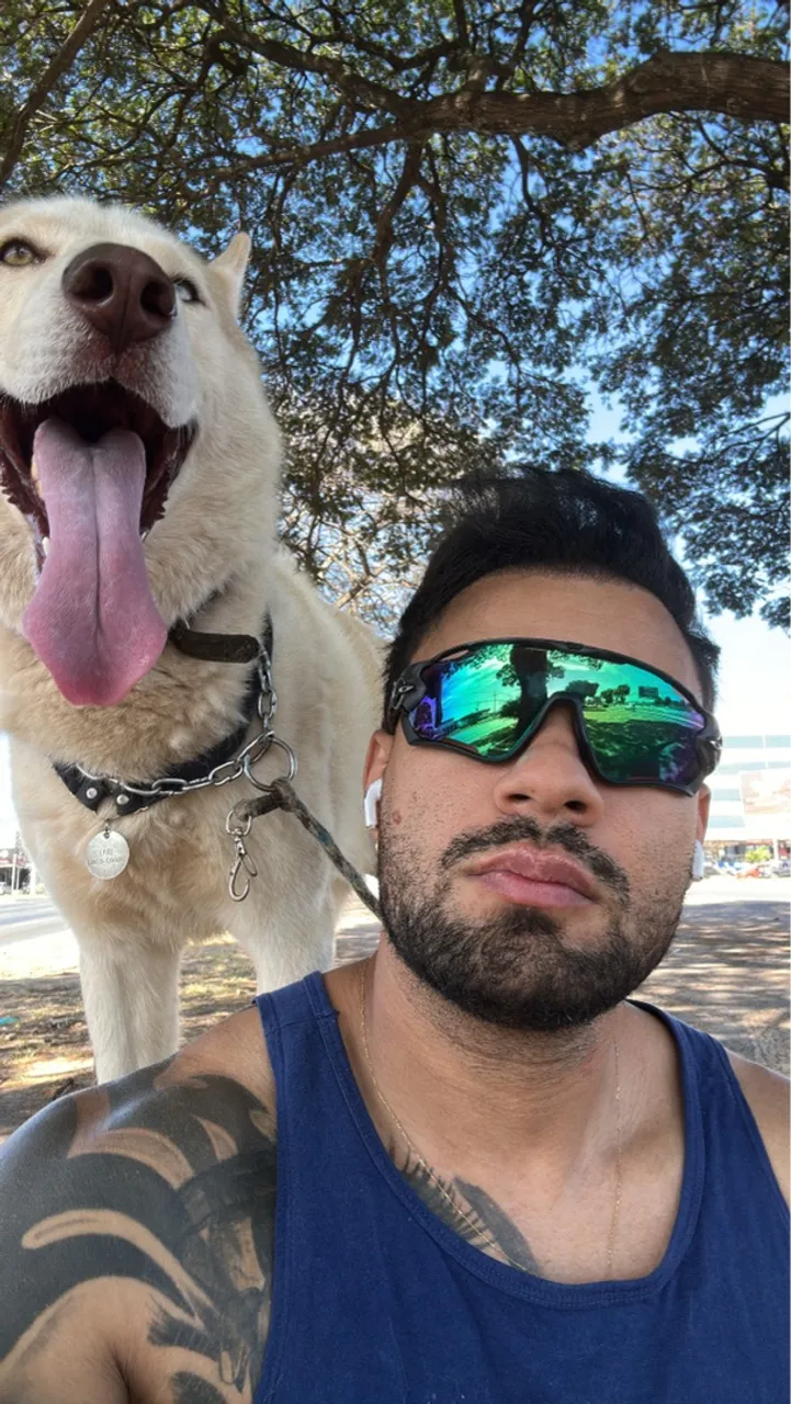 Husky Siberiano - Companheiro Leal
