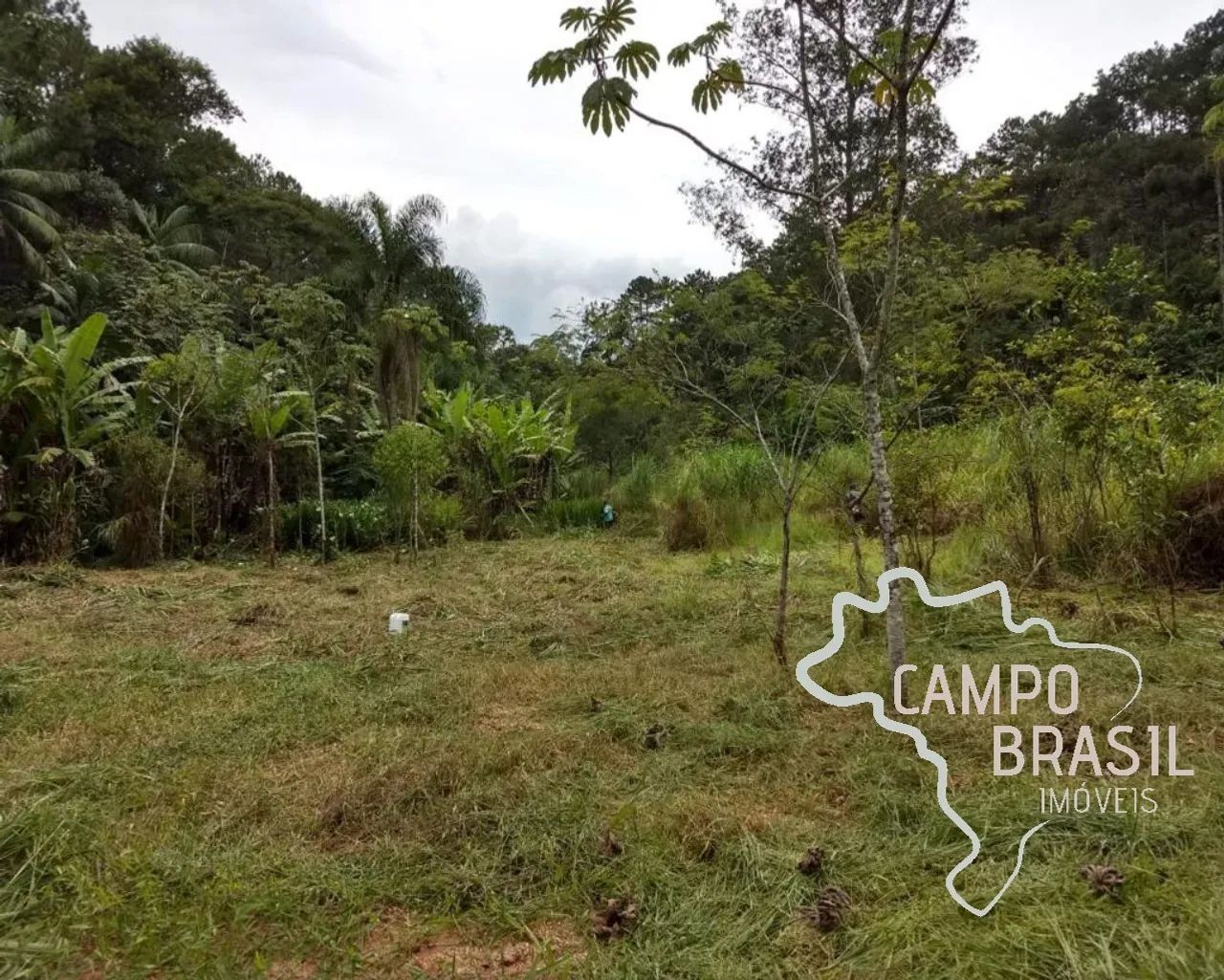Sítio na beira do asfalto, com cachoeiras e 3aq de Eucalipto. - Foto 5