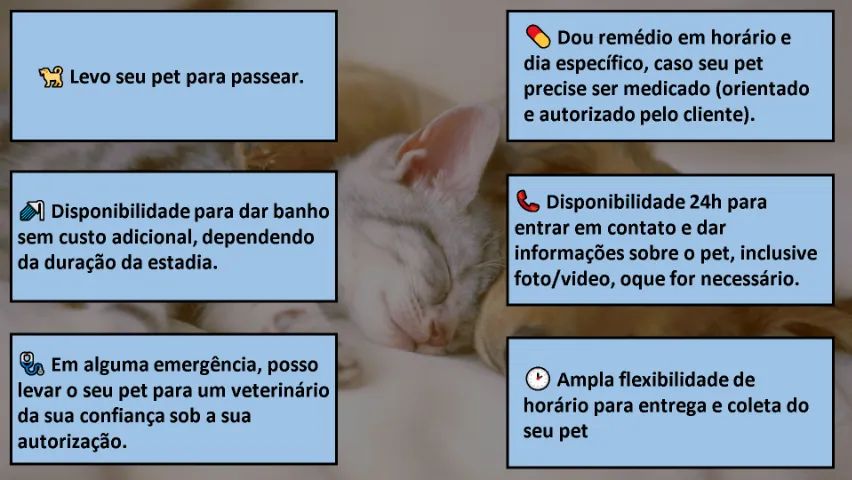 Hospedagem de Pet (Pet Sitter) - Próximo ao NorteShopping - Foto 3
