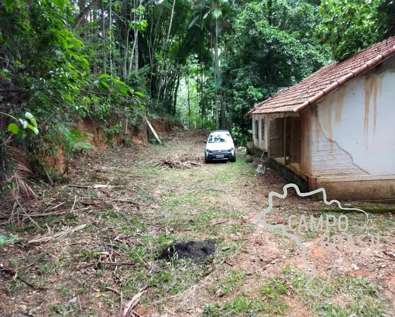 Sítio na beira do asfalto, com cachoeiras e 3aq de Eucalipto. - Foto 2
