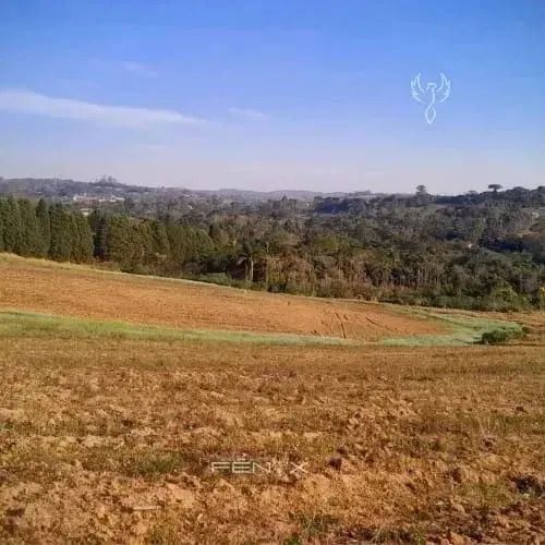 70  Descubra o Terreno Perfeito Para Sua Casa de Campo! - Foto 3