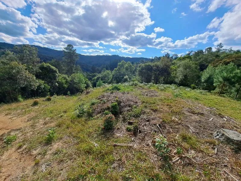 Lote rural DOUTOR PEDRINHO - SC - Foto 5