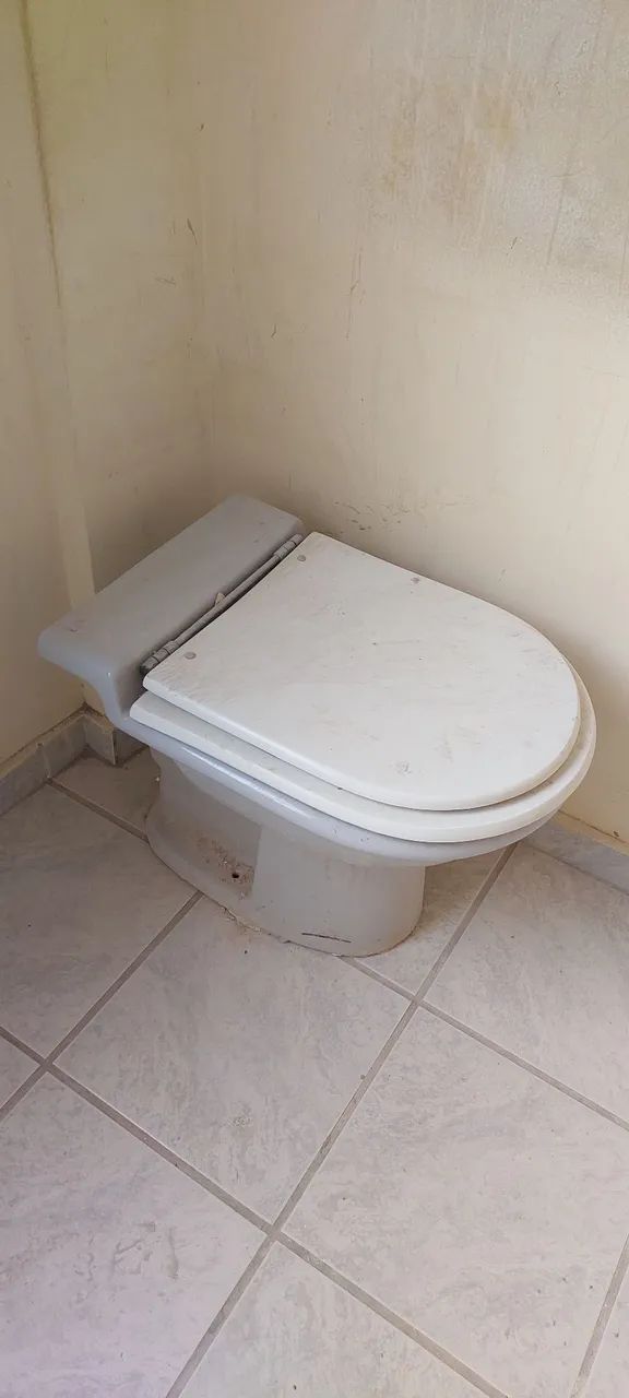 Vaso Sanitário com Assento (tamanho padrão) - Foto 2