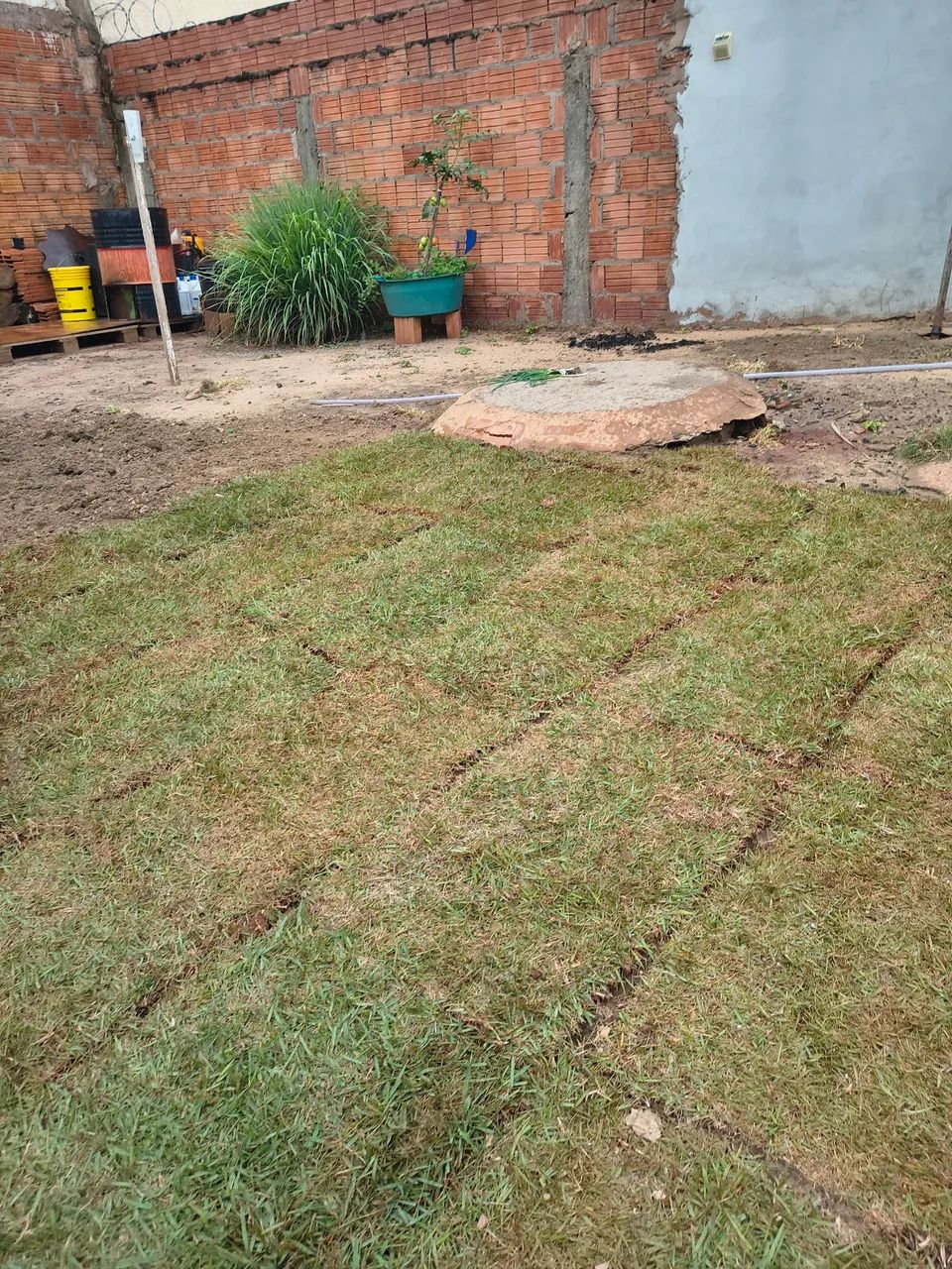 Manutenção de jardins e áreas externas  - Foto 2