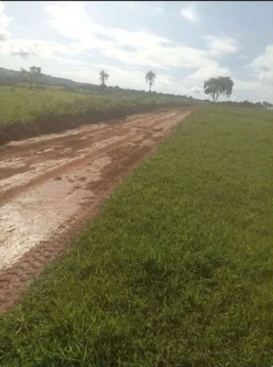 Chácaras a venda (a partir de 2.000 m²) - Foto 2