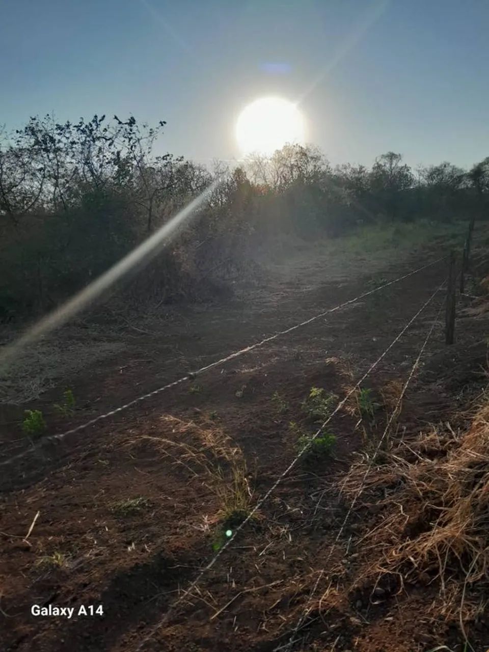 Terreno à Venda, Centro - Bandeirantes - Foto 4