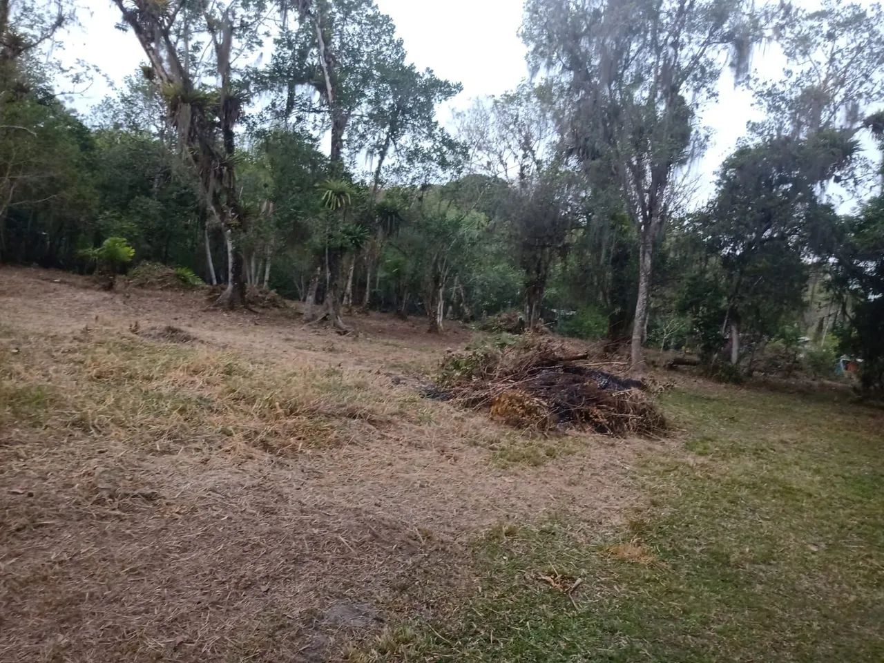 Vendo chácara em Alexandra - Foto 3