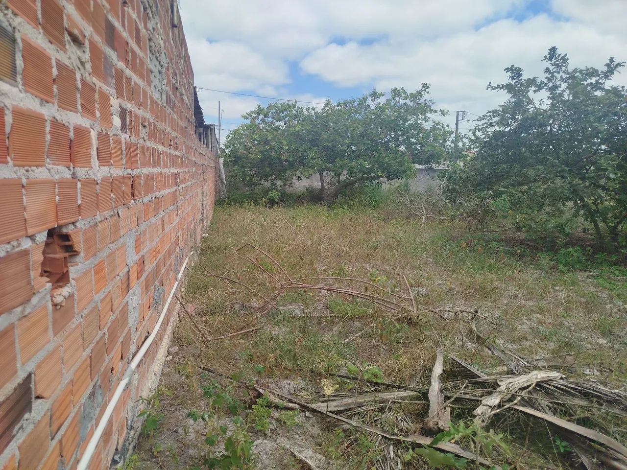 Lote - Foto 5
