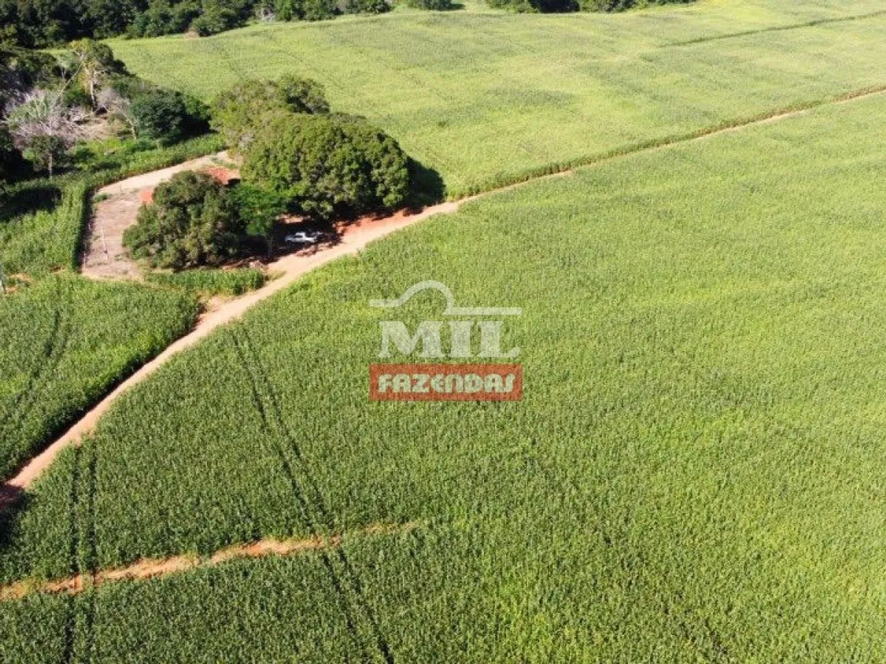 Fazenda em Figueirópolis - TO. Área Total: 177 Alqueires (856 Há)