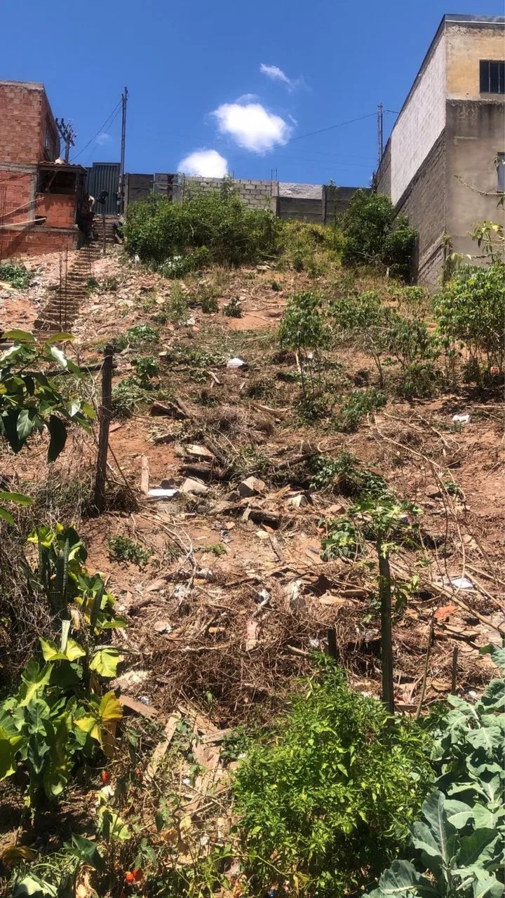 Foto - Juiz de Fora - Teixeiras
