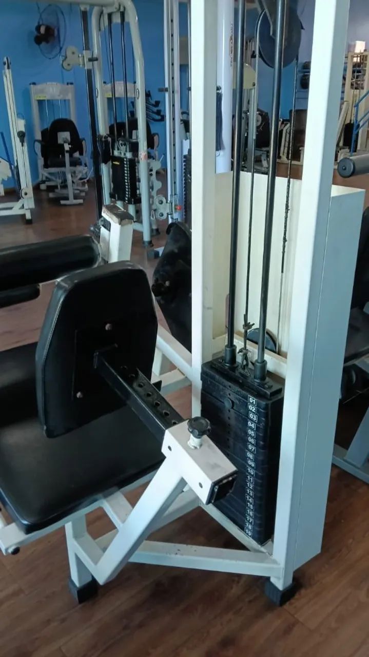 Leg Curl Machine449242265279549442