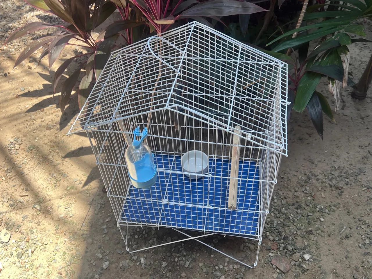 Gaiola para Aves  - Foto 3