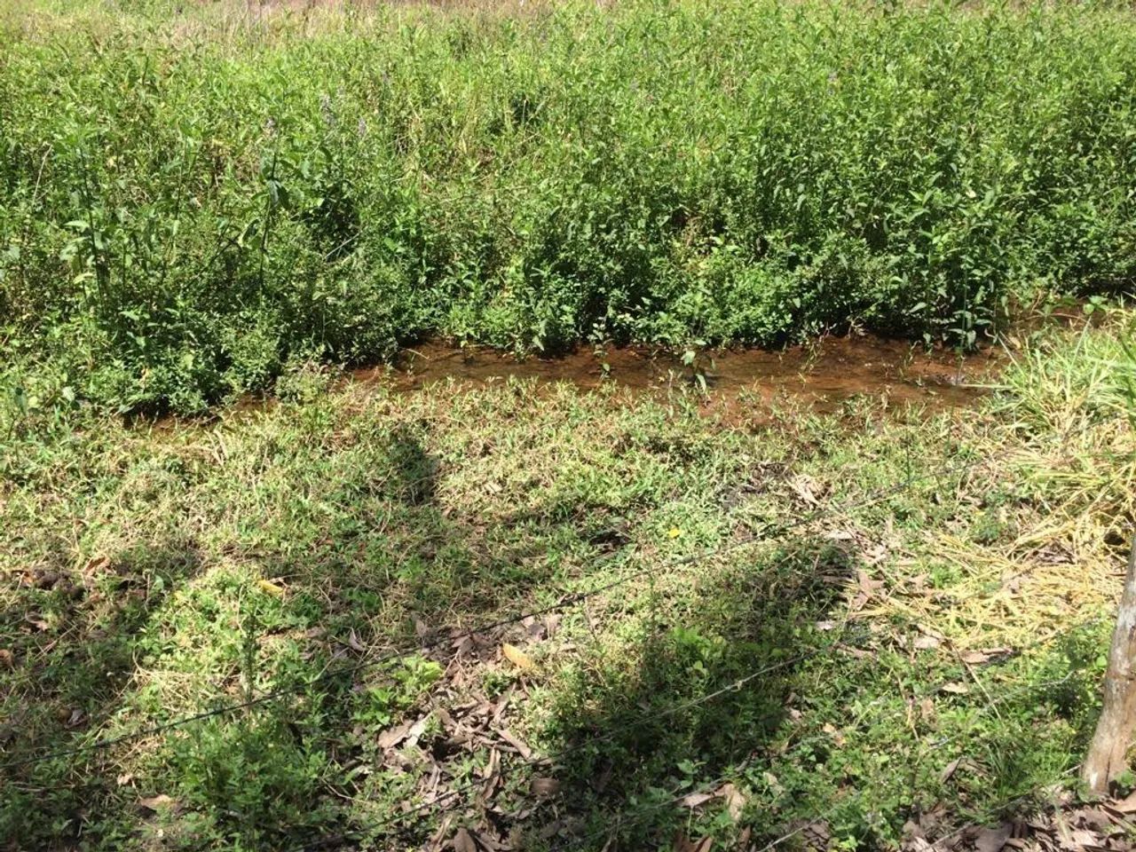   TERRENO entre rio BA - Foto 2