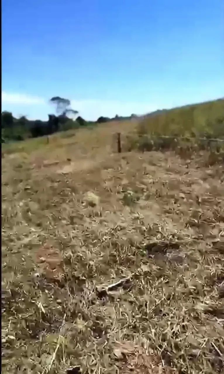 He Terrenos com valores imperdíveis para você! - Foto 5