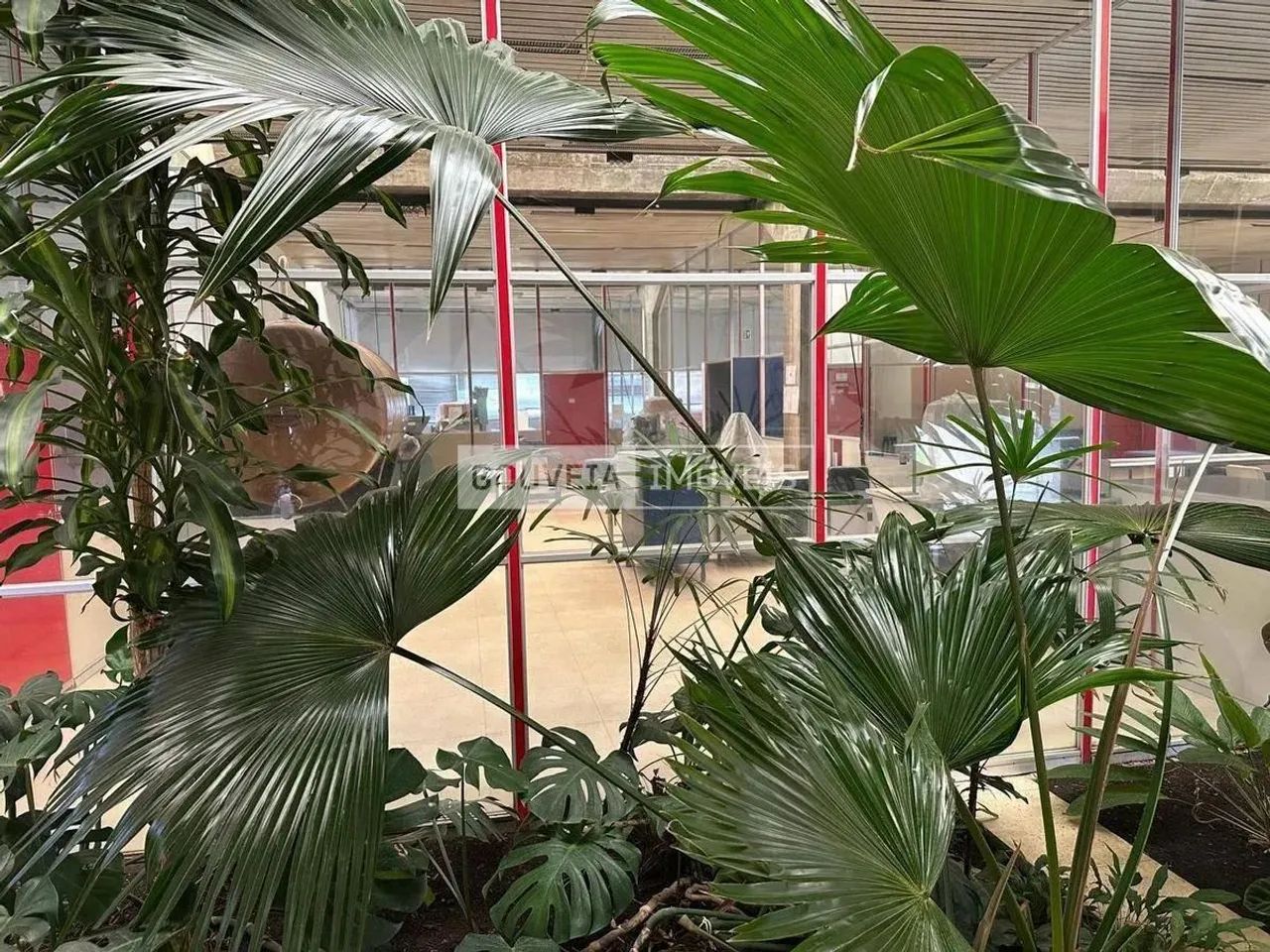 Barracão com 1.050 m² de Área Útil e 24.500 m² de Terreno, aluguel de R$ 32.000 + Taxas -  - Foto 3