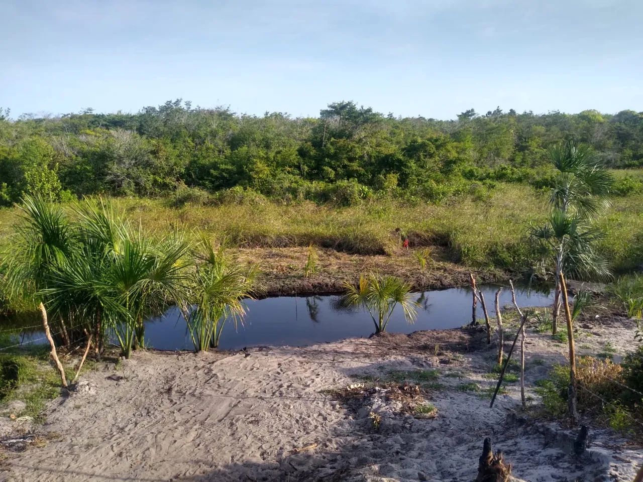 Foto - São Luís - Olho DÁgua