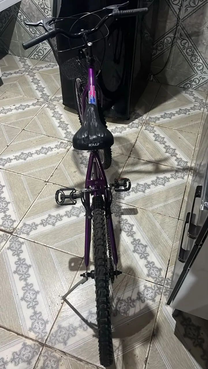 Bicicleta flowers samy  - Foto 3