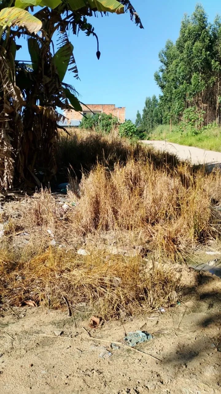 Terreno São Matheus  - Foto 2