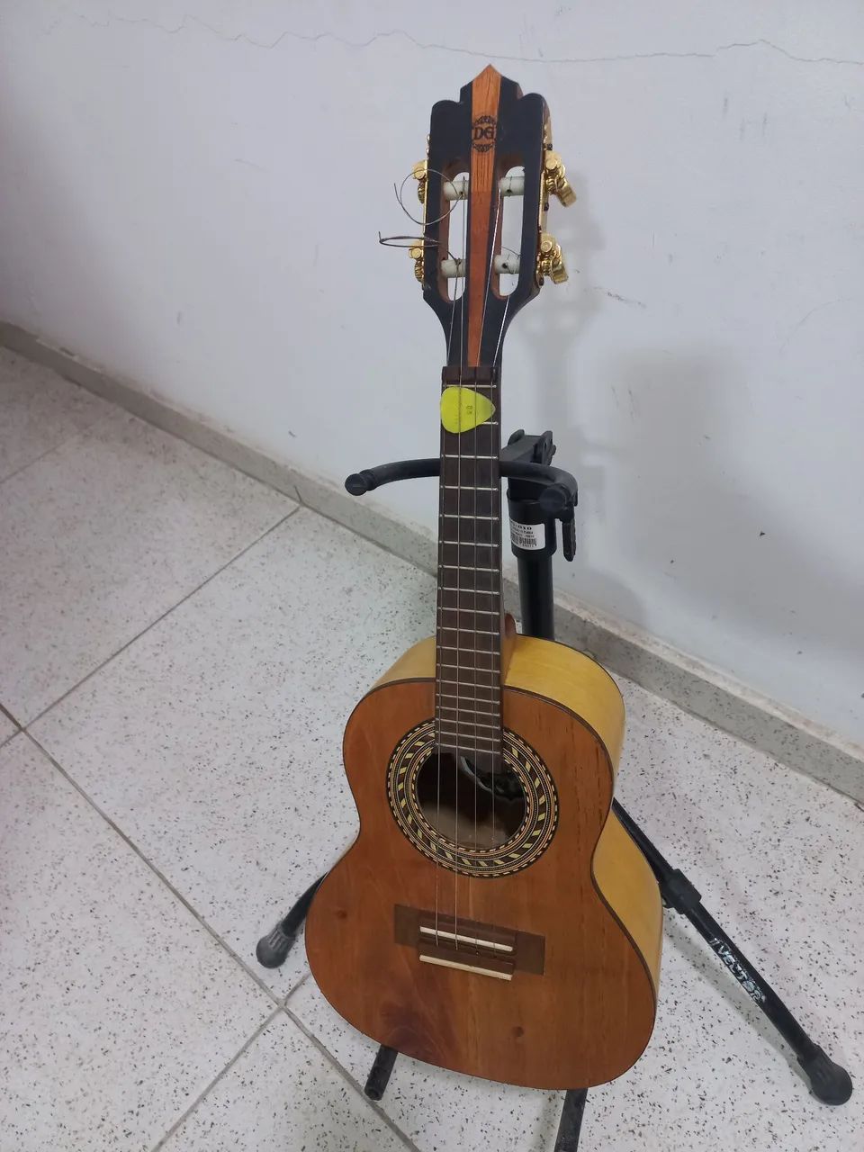 Cavavo DG Luthier Marfim com tampo em cedro 2024