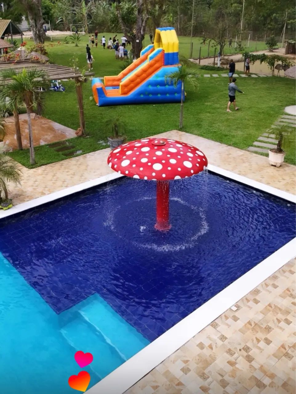 Sítio para loção Tingua  - Foto 3