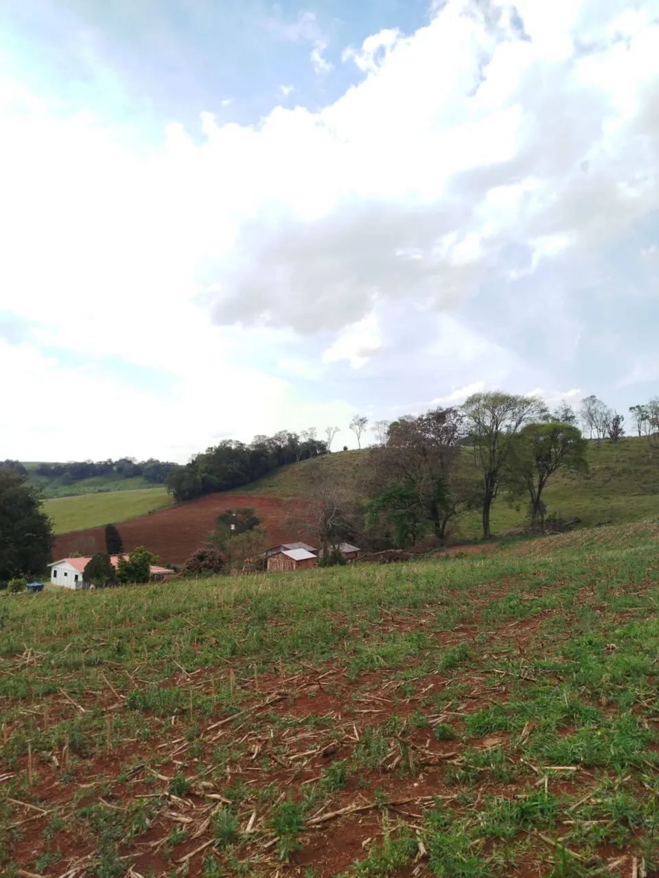 Vendo sítio porteira fechada  - Foto 3