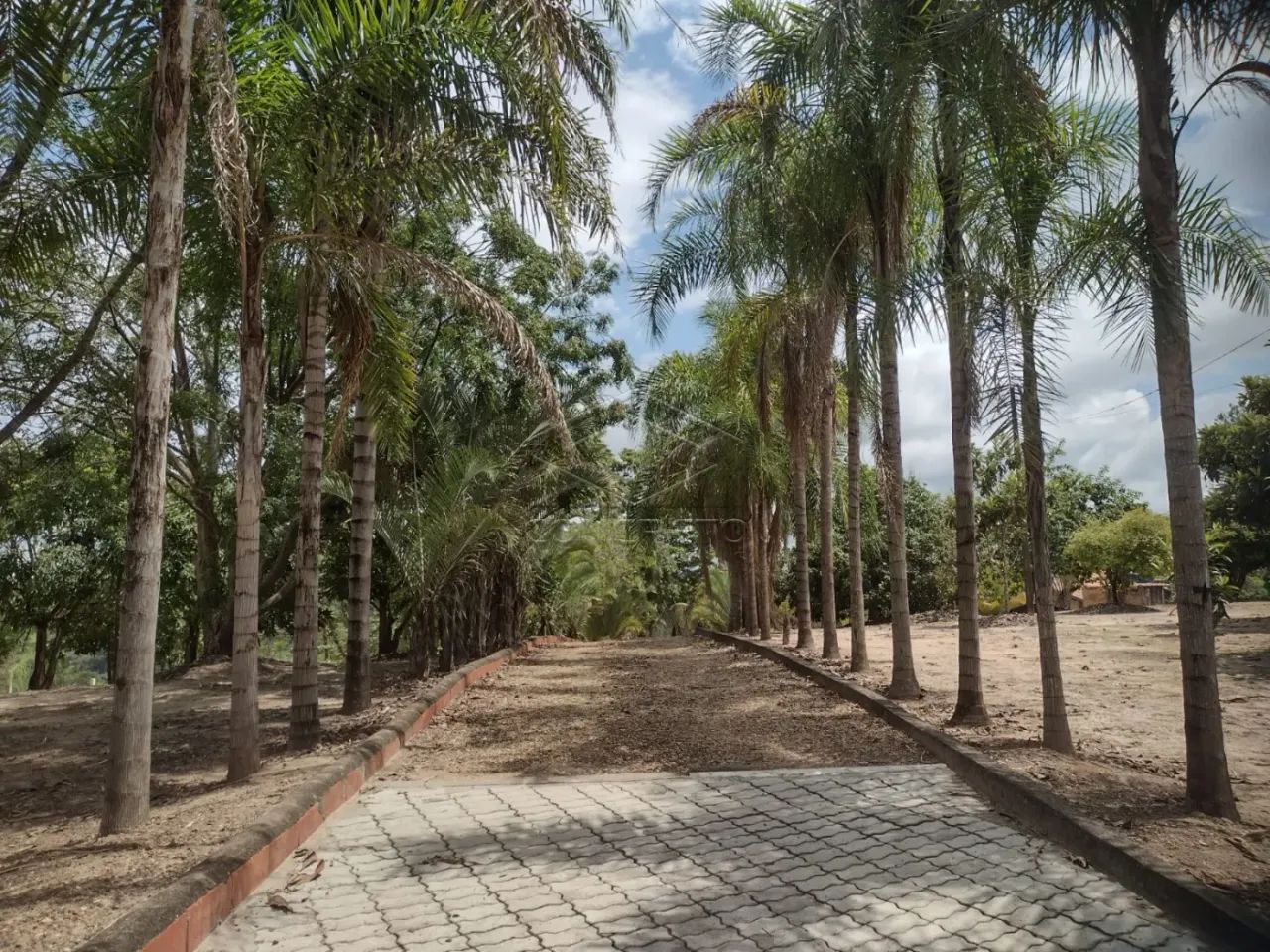 Rural Sitio em Bofete
