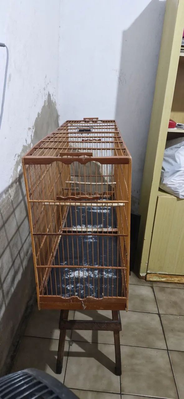 Gaiola Voador para pássaros pequeno - Foto 4