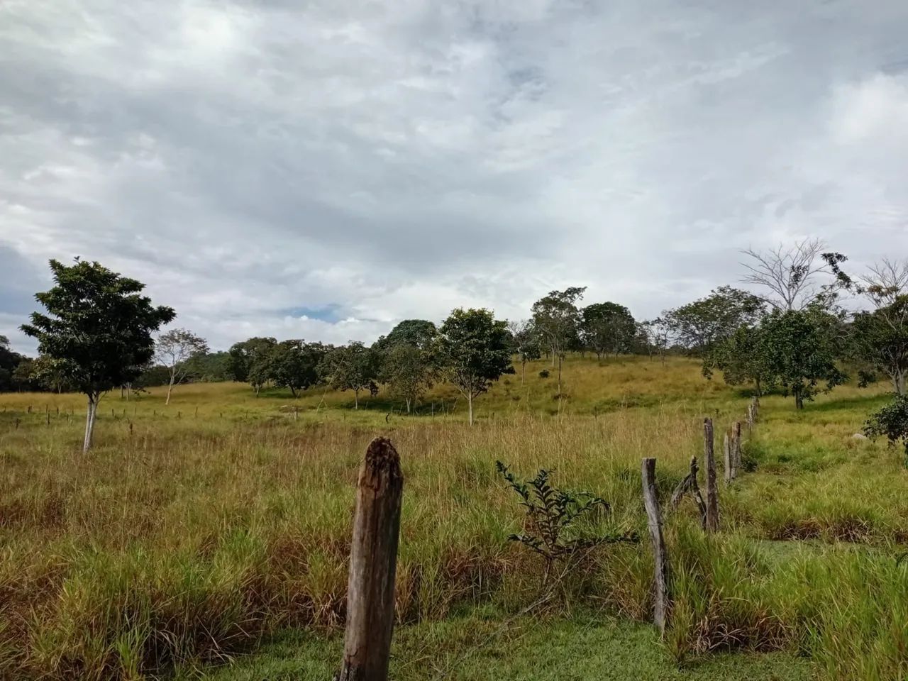 Chácara em cocalzinho de Goiás  - Foto 2