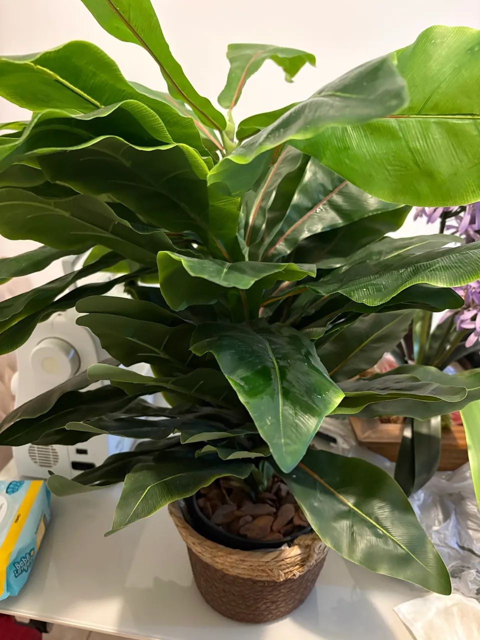 Vaso de planta - Decoração 