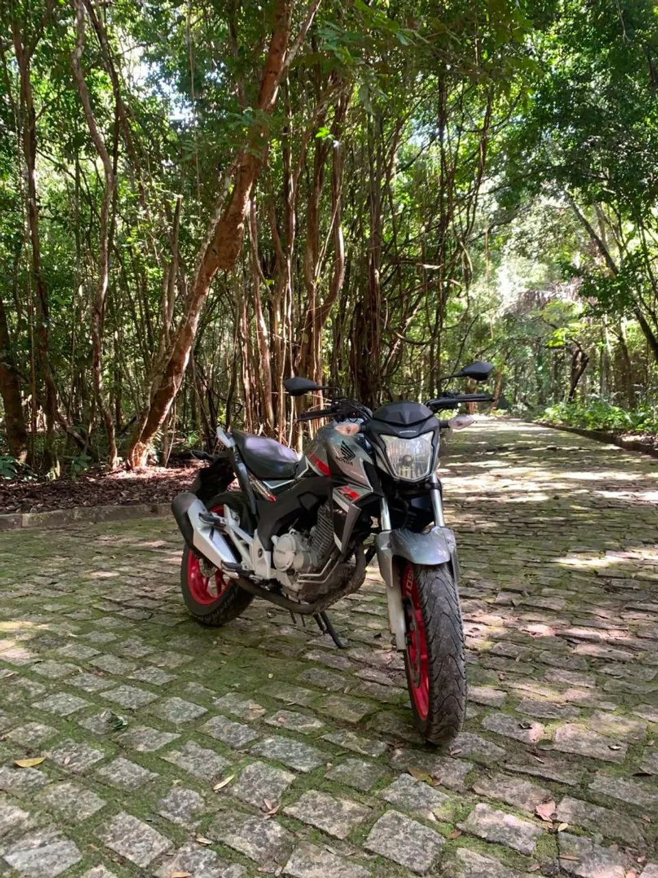 CB Twister 250 