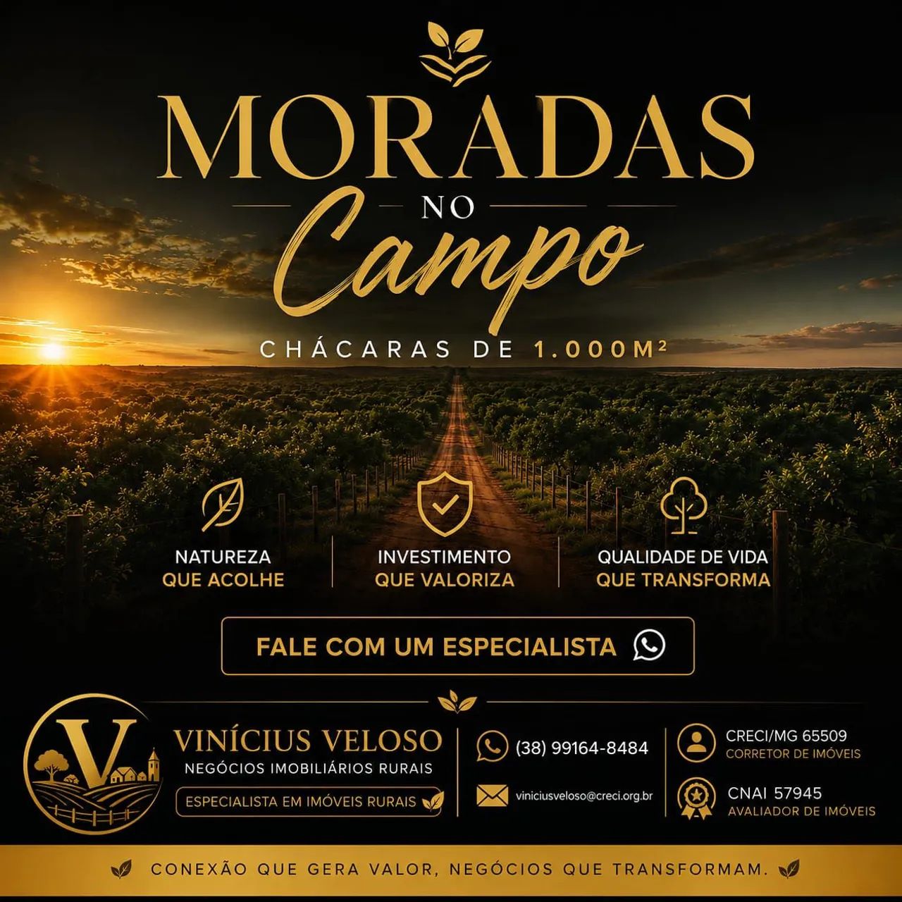 Chácaras disponíveis
