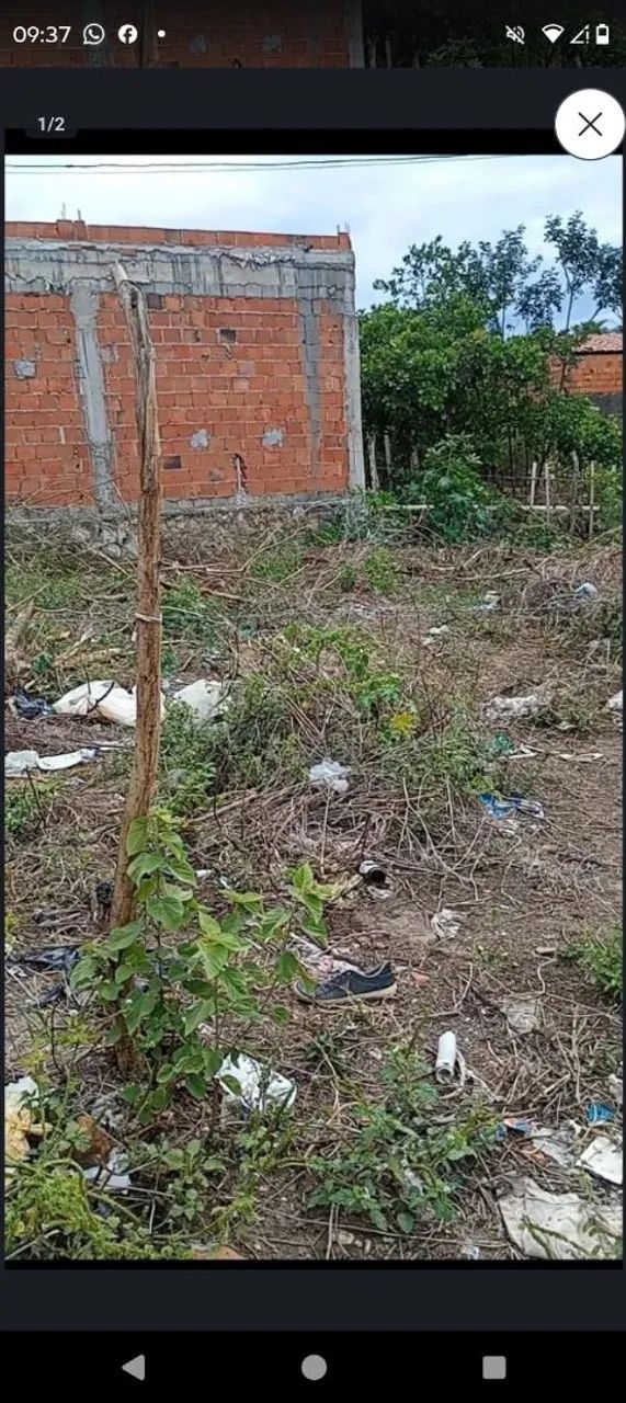 Vendo 