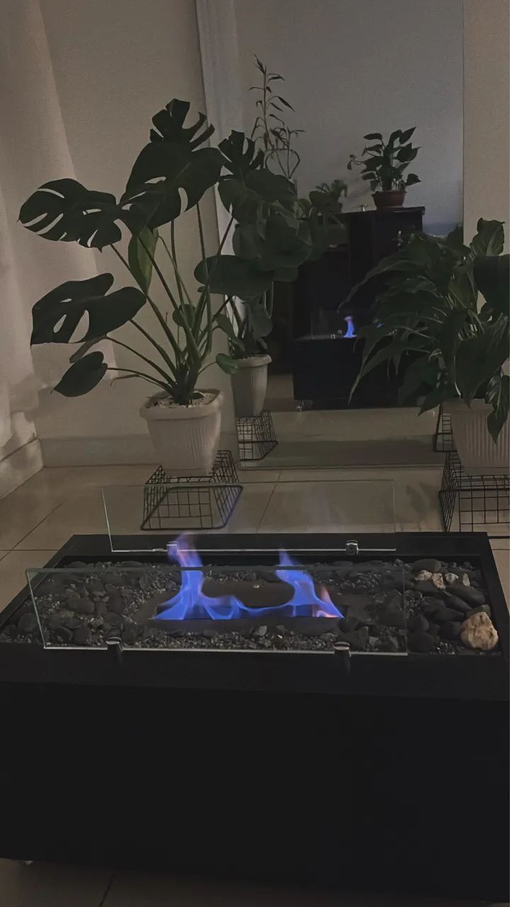 Lareira ecológica 