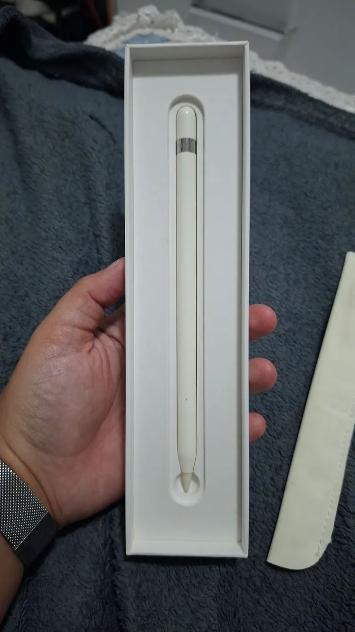 Apple Pencil 1ª Geração + 2 Cases e Acessórios - *ABERTO A NEGOCIAÇÃO* - Foto 2
