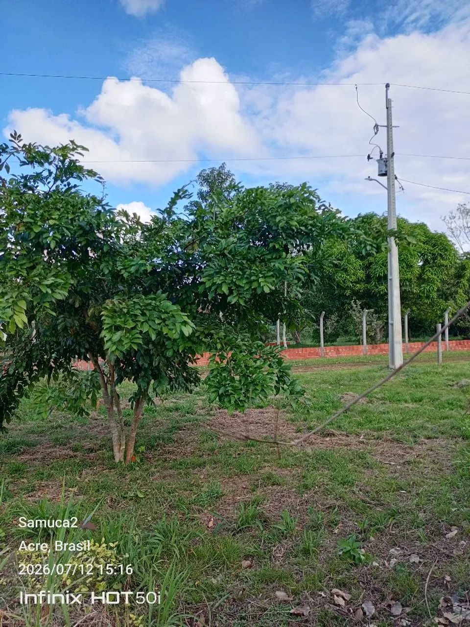 Só transferir, tudo ok