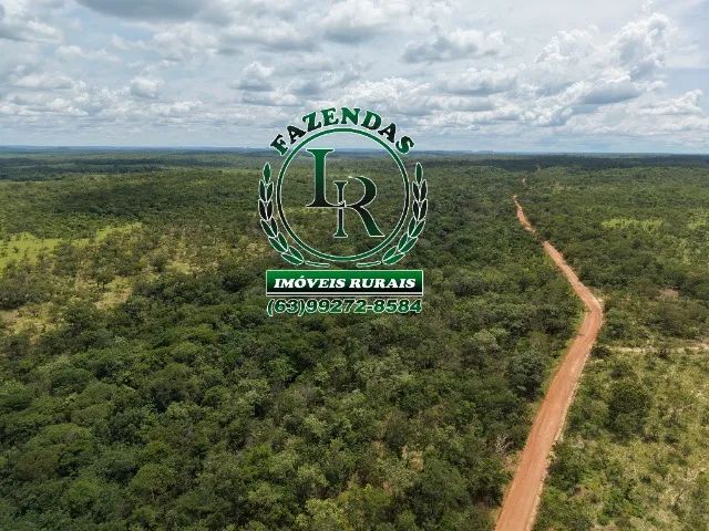 Fazenda Dupla Aptidão Bruta de 40 Alqueires  Tocantins