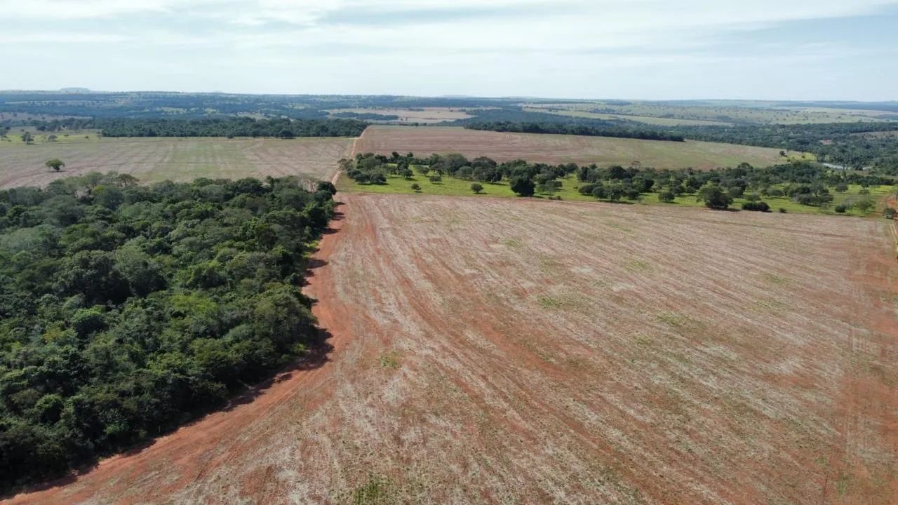 Fazenda com 80% aproveitamento lavoura  - Foto 4