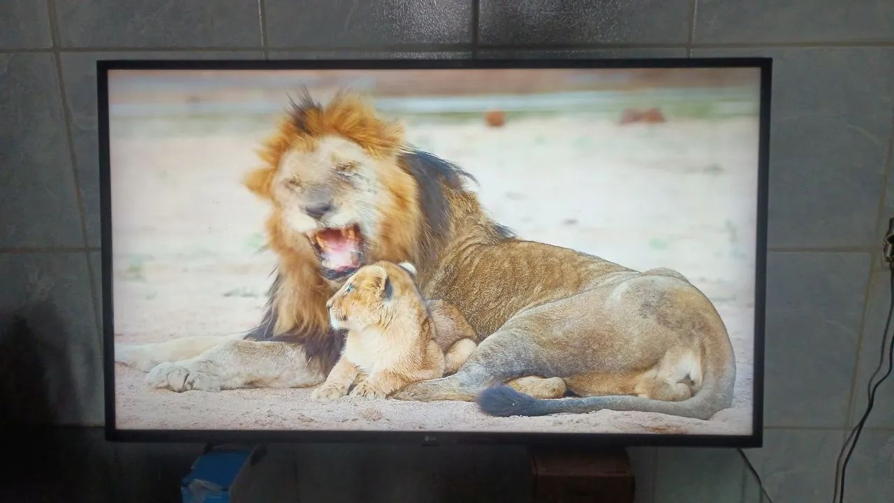  LG Smart 4K 50 polegadas  - Foto 5