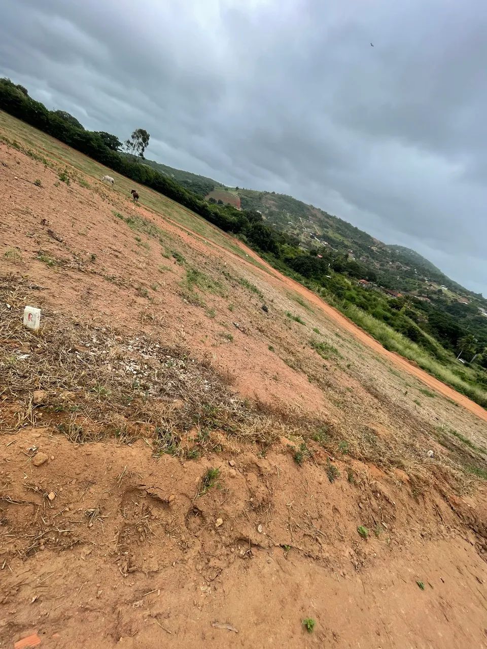 Terreno 8x20 em Pombos - Foto 4