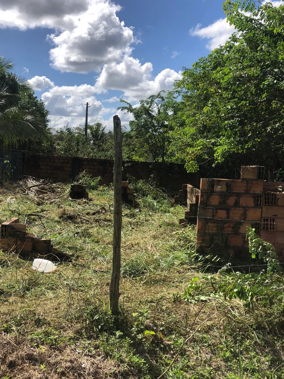 Terreno bom e barato  - Foto 4