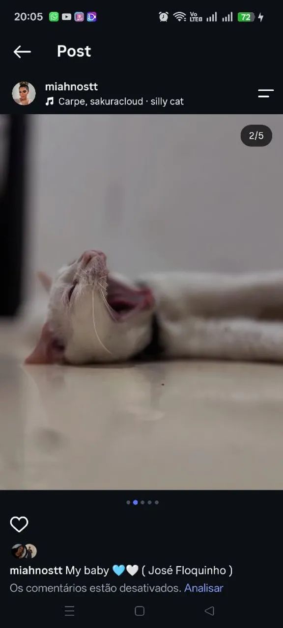 Gatos para doação  - Foto 4