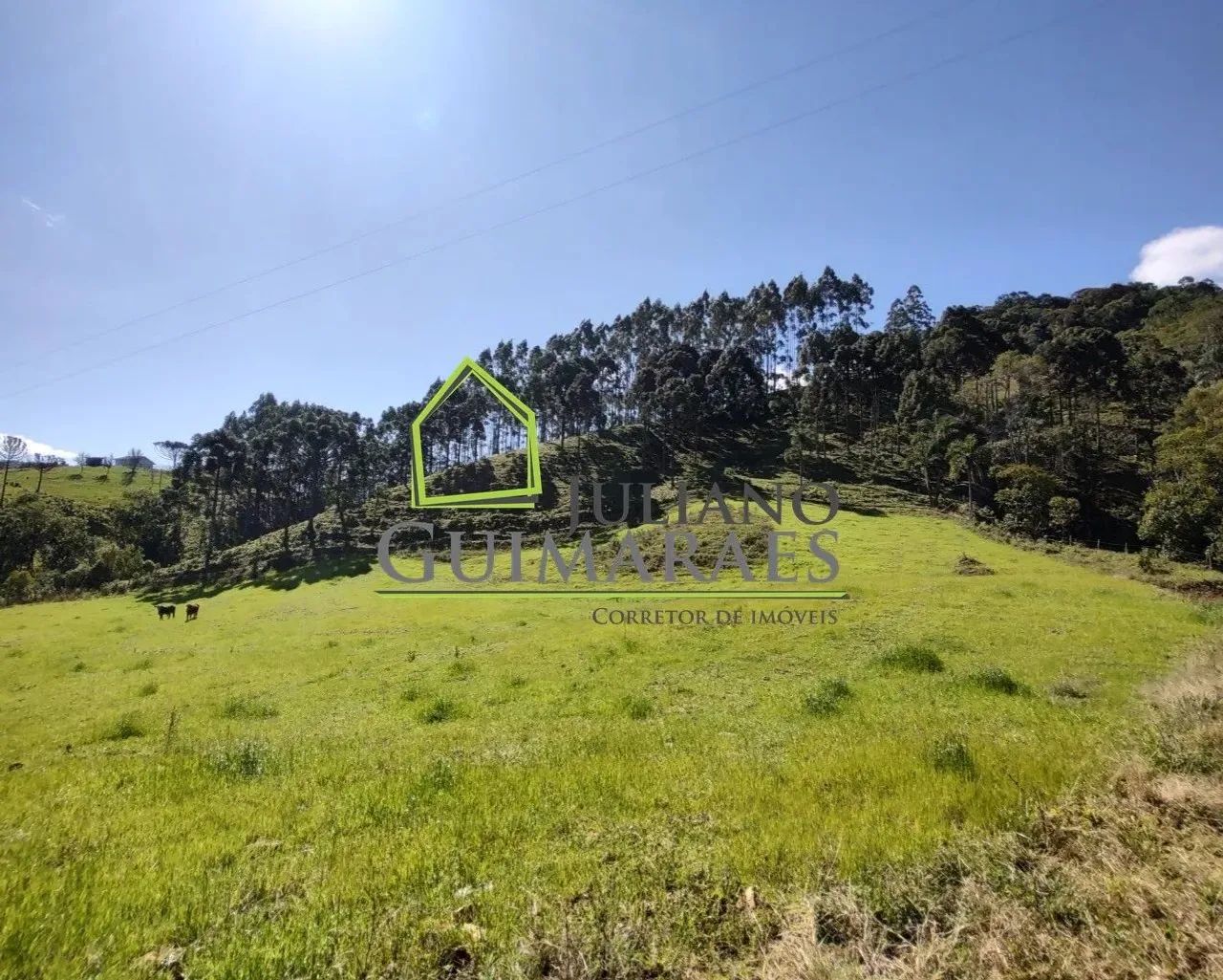 TERRENO á venda em ANITÁPOLIS SC - Foto 5