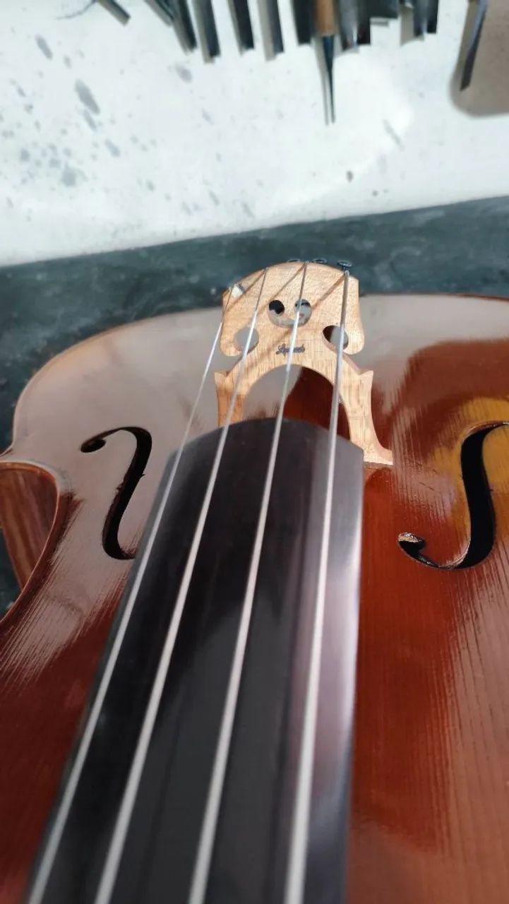 Violoncelo  - Foto 5